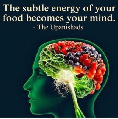 food_article
